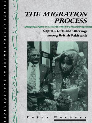 cover image of The Migration Process
